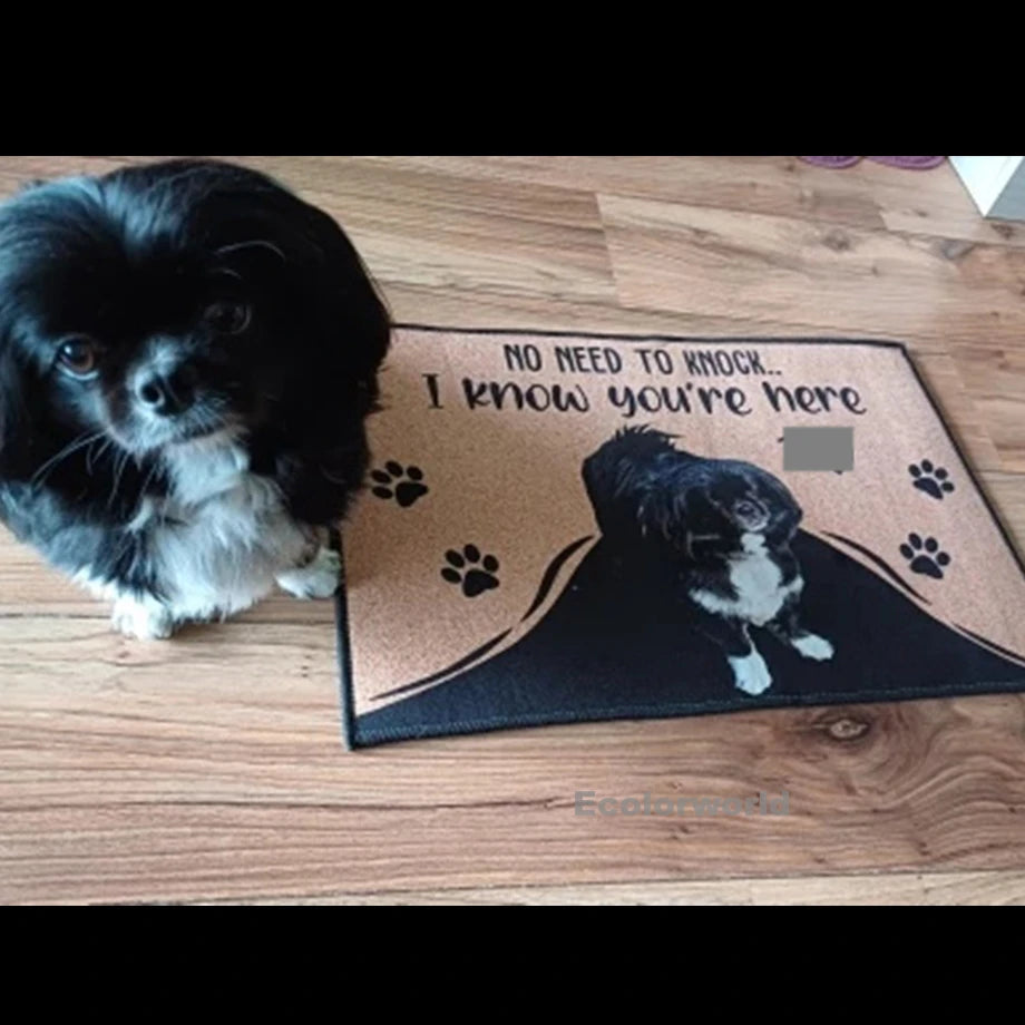 Personalized Dog Welcome Mat Custom Doormat With Pet's Photo Name Hallway Doorway Floor Mats Carpet Home Decor Accessory