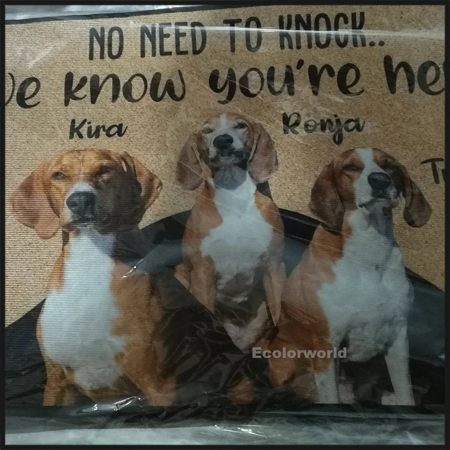 Personalized Dog Welcome Mat Custom Doormat With Pet's Photo Name Hallway Doorway Floor Mats Carpet Home Decor Accessory